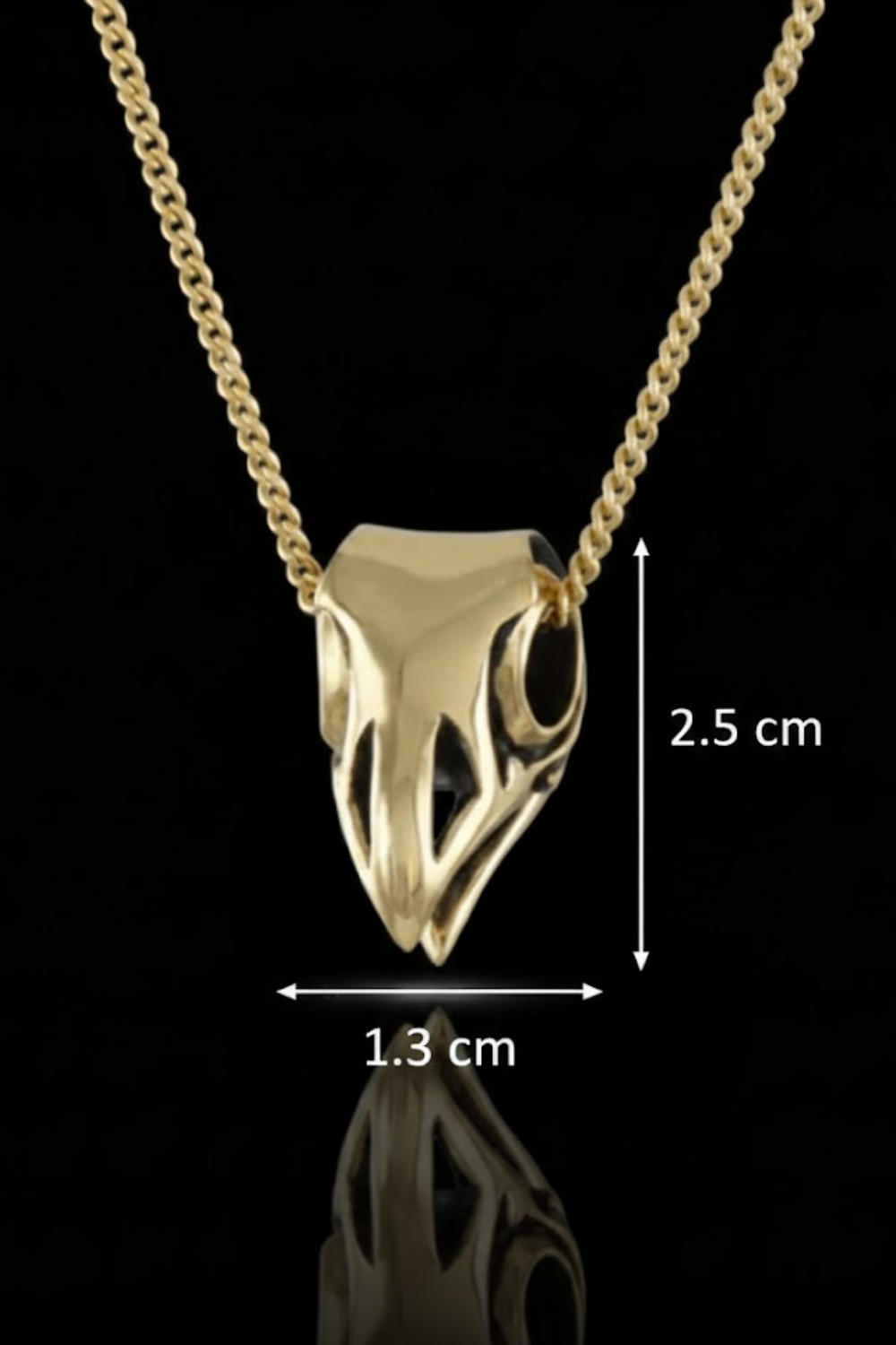Collar Cabeza de Cuervo | Símbolo de Sabiduría, Transformación y Misterio | Hecho a mano en Plata 925, Baño de Oro 24K, Bronce