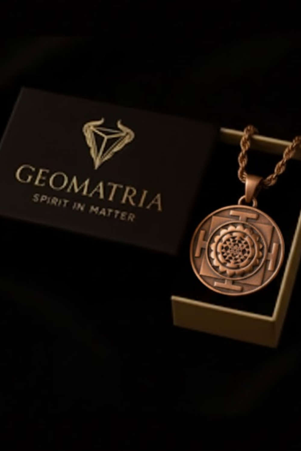 a pendant necklace with a circular design, placed inside a black box with a gold-colored logo.