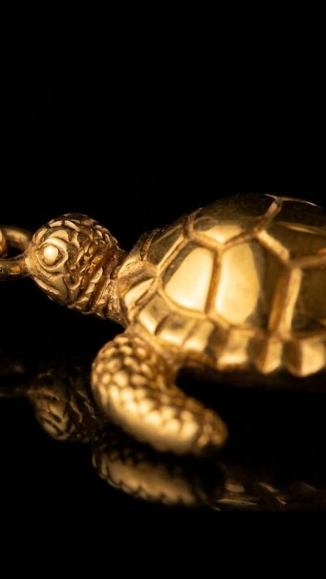 Turtle Necklace | Handmade in 18K Gold | Symbol of Wisdom, Longevity & Protection