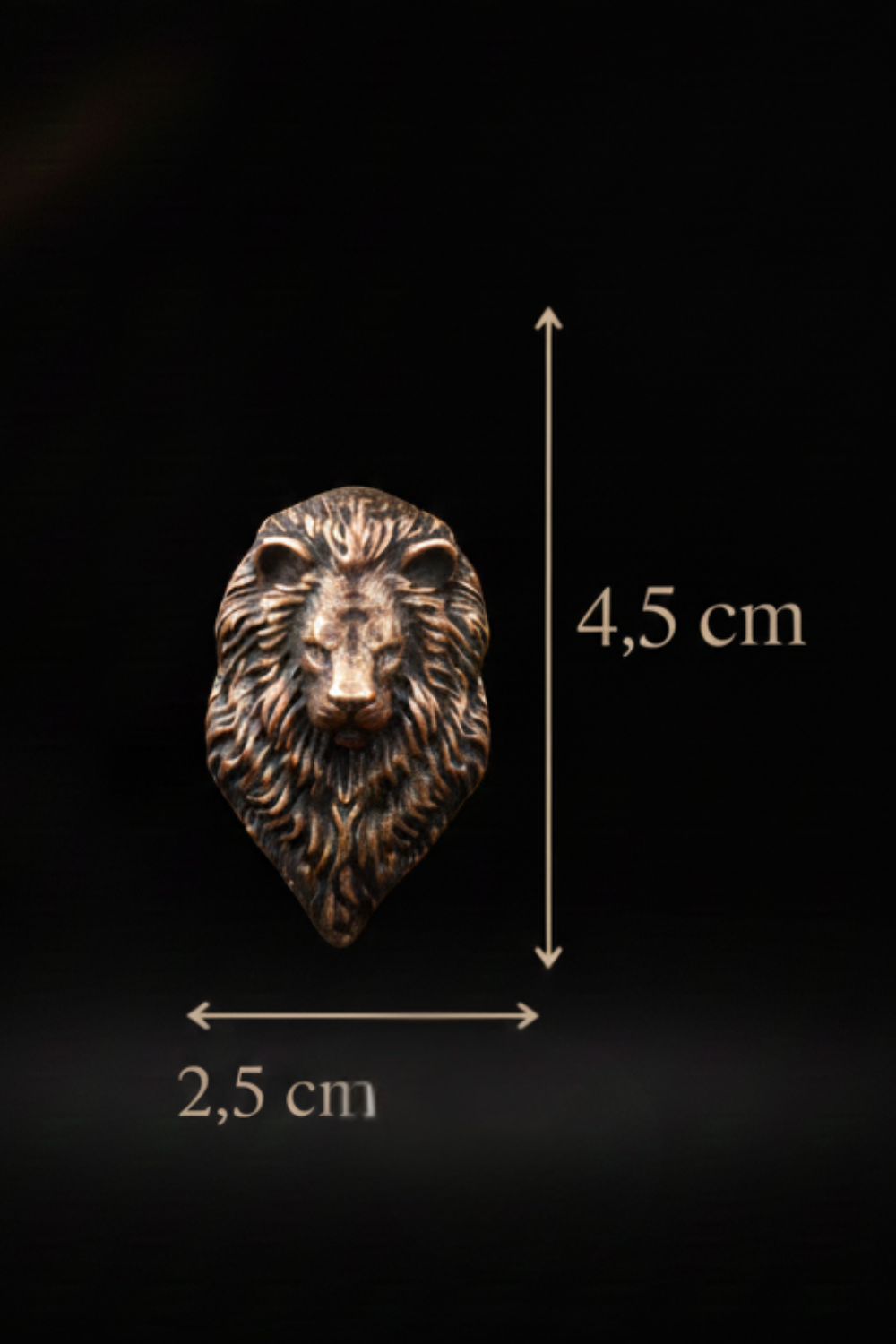 A bronze lion head sculpture is shown against a black background, with measurements provided.