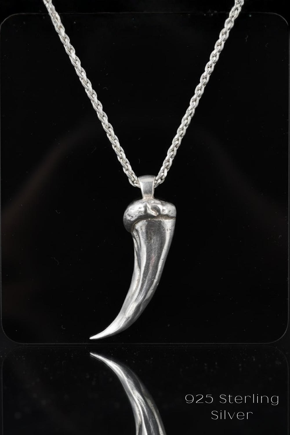 A silver pendant necklace with a large, curved silver horn-like pendant is displayed against a black background.