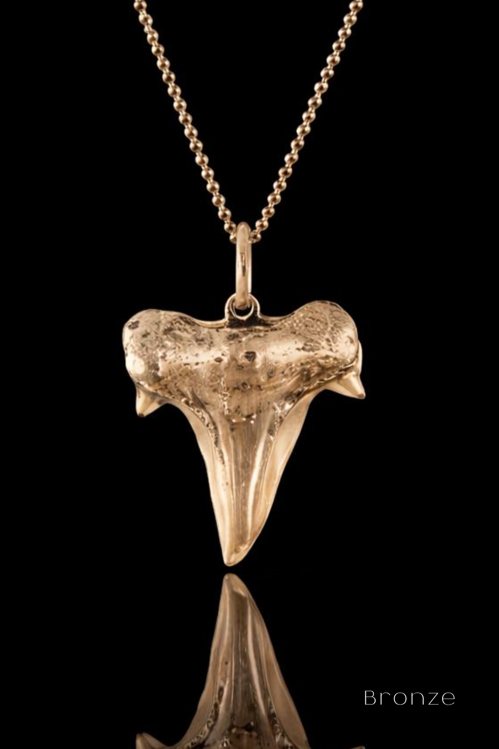 Shark Tooth Necklace – Bronze & Silver-Plated Finish | Limited Edition