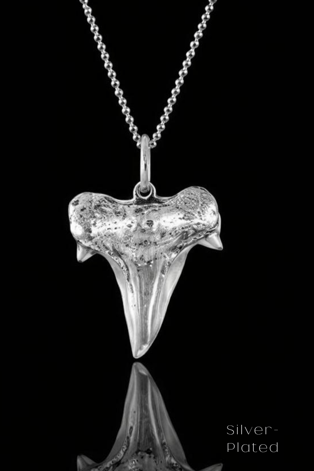 Shark Tooth Necklace – Bronze & Silver-Plated Finish | Limited Edition