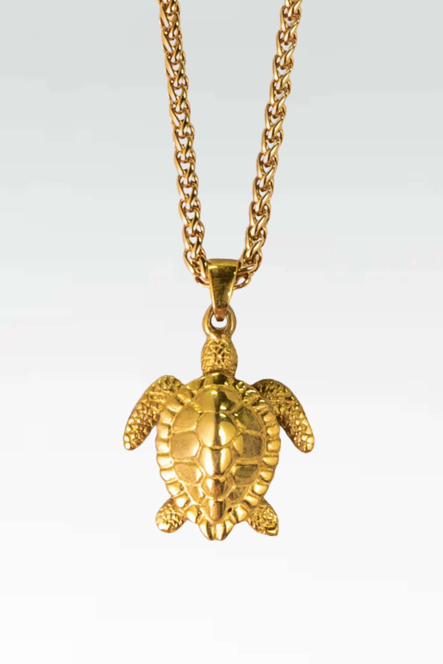 Collar de tortuga