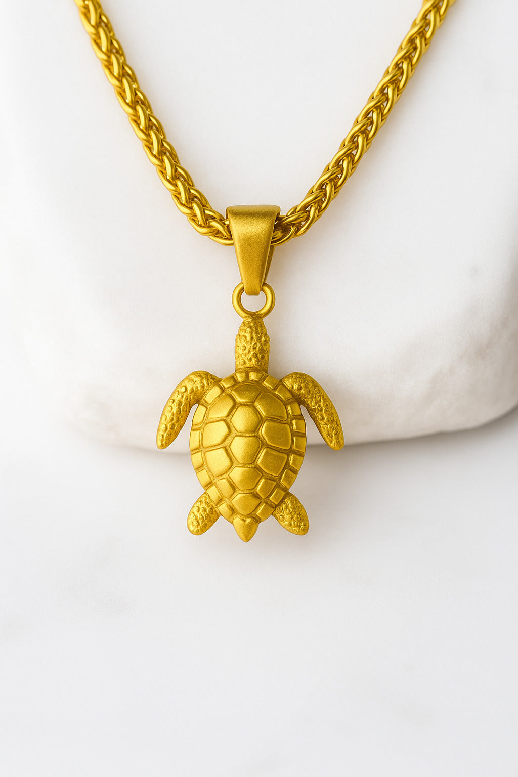 Collar de tortuga