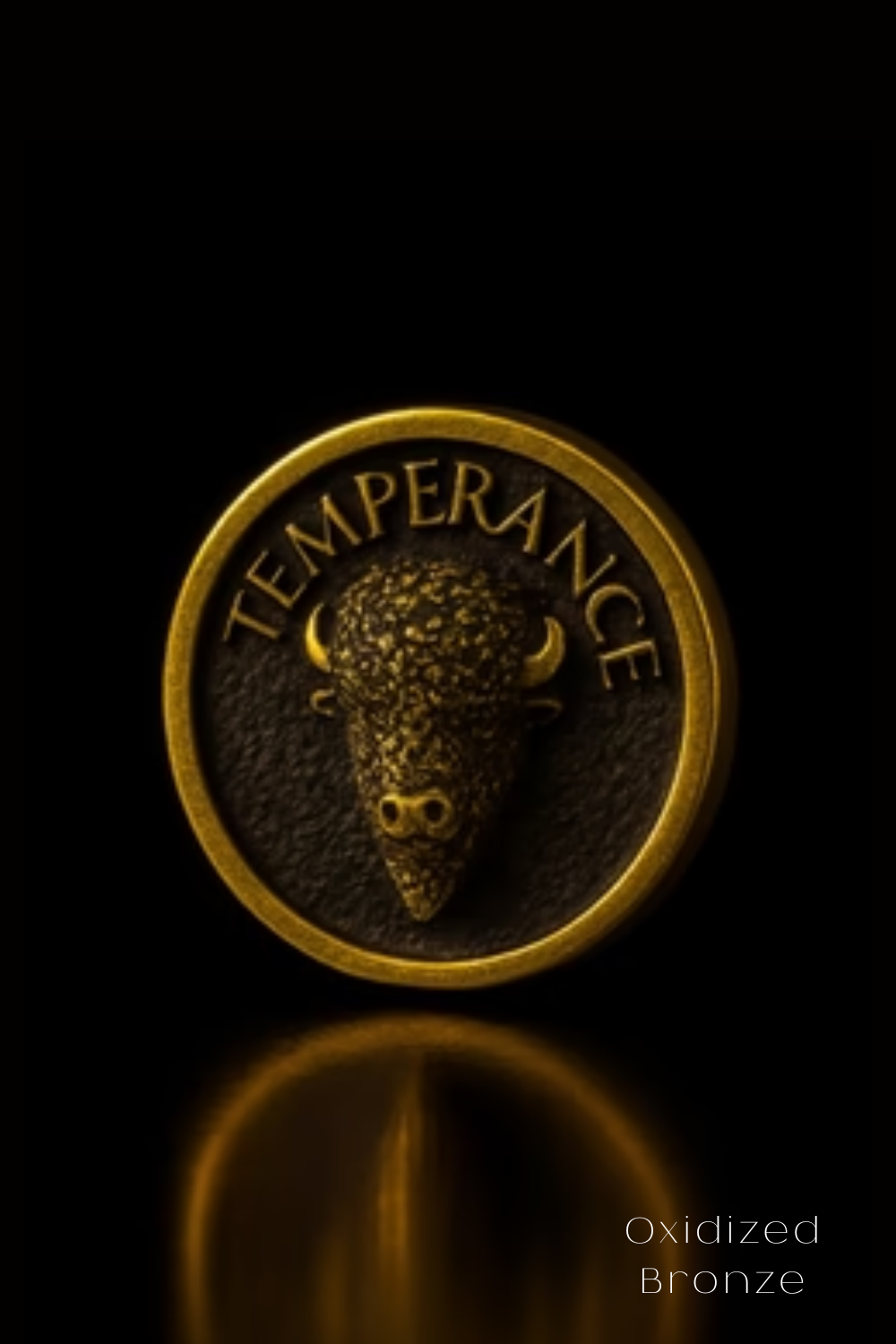 a close-up of a bronze bull's head on a circular background with the word "TEMPERANCE" written around it.